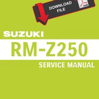 r1 z 250 manual pdf PDF