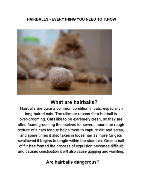 rabbit hairballs manual guide pdf Epub