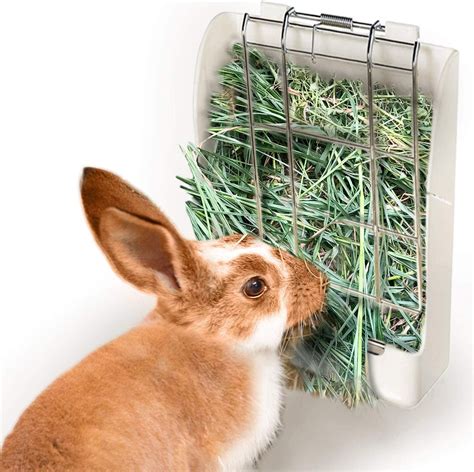 rabbit hay feeder