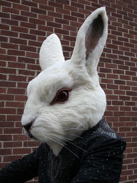 rabbit head costume