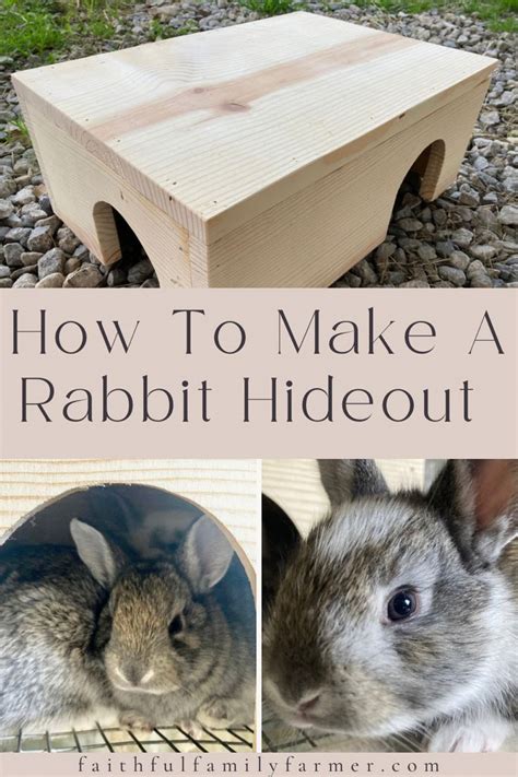 rabbit hideout