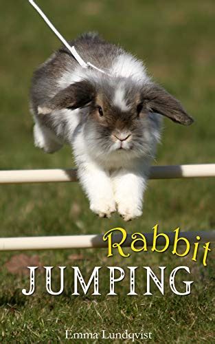 rabbit jumping teach your rabbit Doc