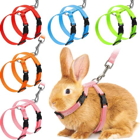 rabbit leash