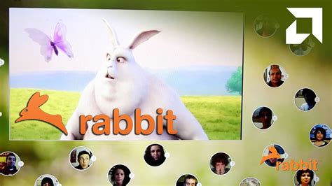 rabbit video chat