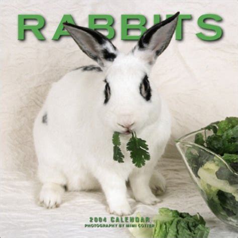 rabbits 2004 calendar Kindle Editon