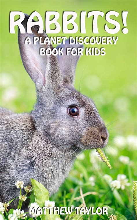 rabbits a planet discovery book for kids planet discovery books for kids 4 Reader