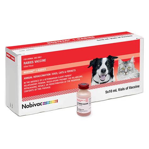 rabies injection for dogs