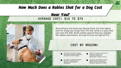 rabies shot for dogs cost