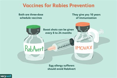 rabies vaccine how long does it last