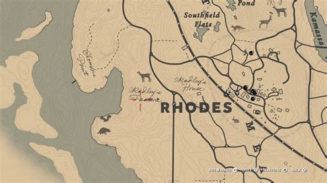 raccoon location rdr2