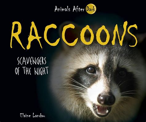 raccoons scavengers of the night animals after dark PDF