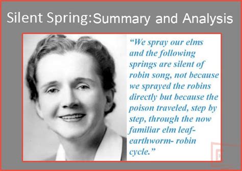 rachel carson silent spring summary