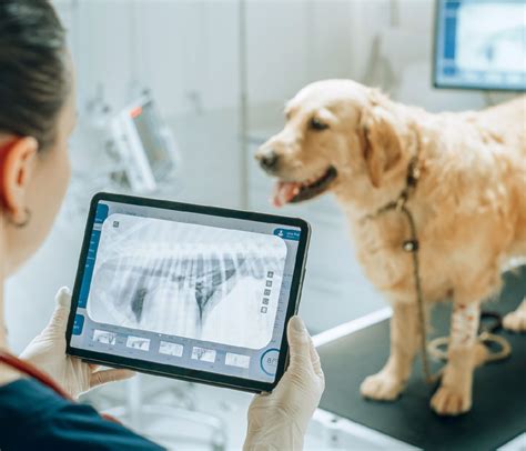 radiography in veterinary technology Epub