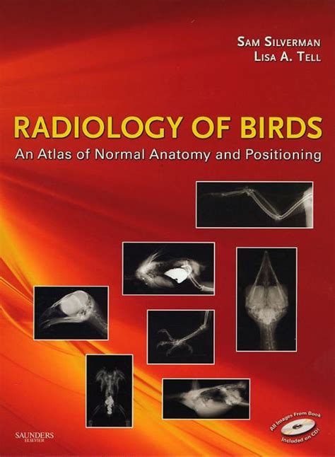 radiology of birds radiology of birds Doc