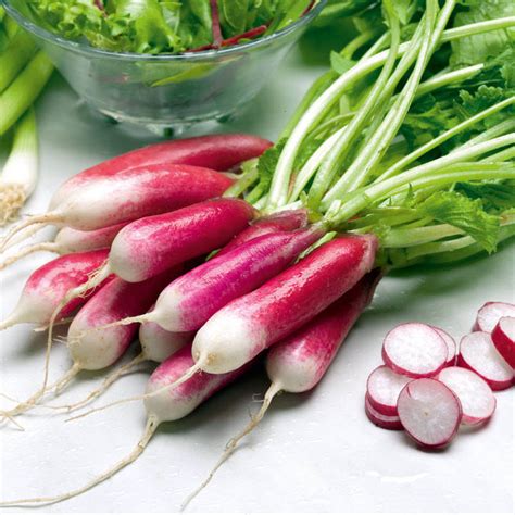 radish near me