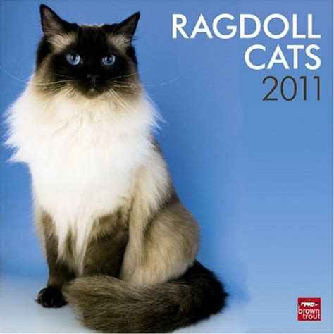 ragdoll cats 2016 square 12x12 PDF