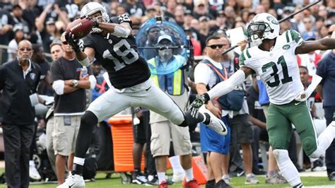 raiders 2016 roster