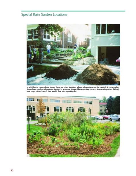 rain gardens a how to manual for homeowners Epub