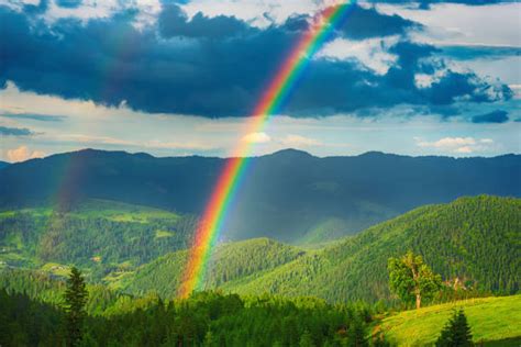 rainbows in the valley Reader