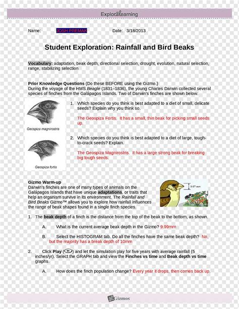 rainfall and bird beaks gizmo answer Doc