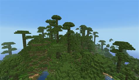 rainforest minecraft