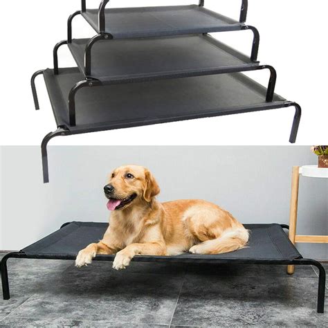 raised dog beds for large dogs