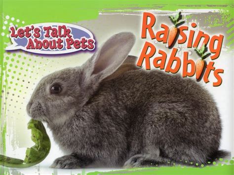 raising rabbits lets talk about pets rourke Doc