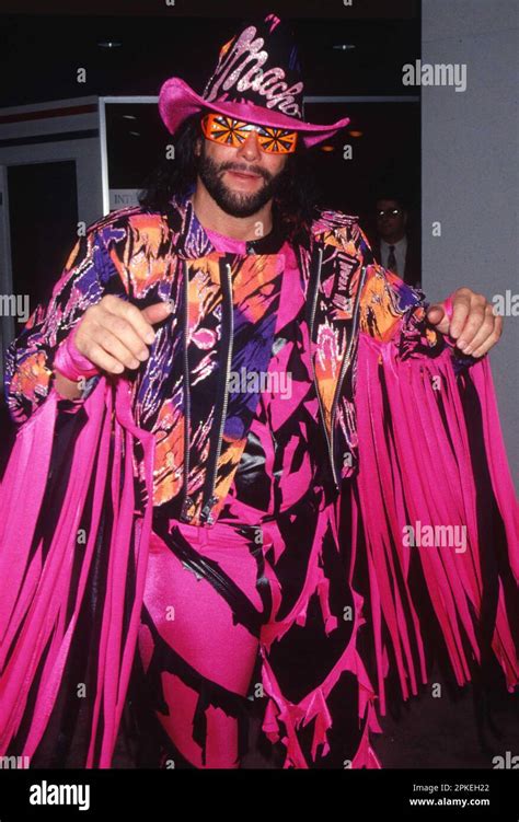 randy savage matches 1994