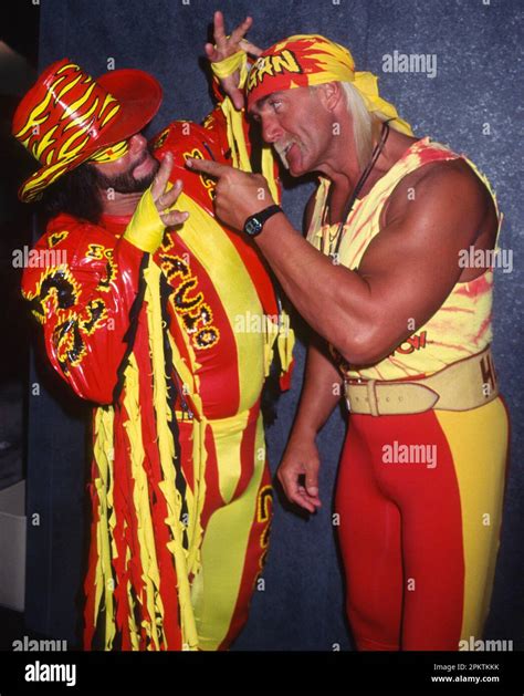 randy savage on hulk hogan