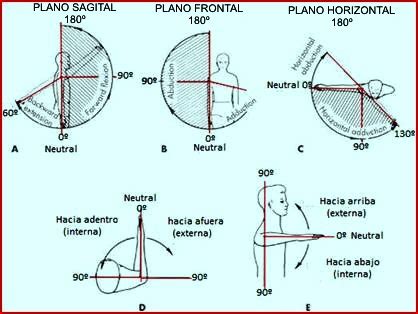 rango de movilidad del hombro