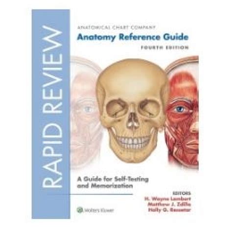 rapid review anatomy reference guide PDF