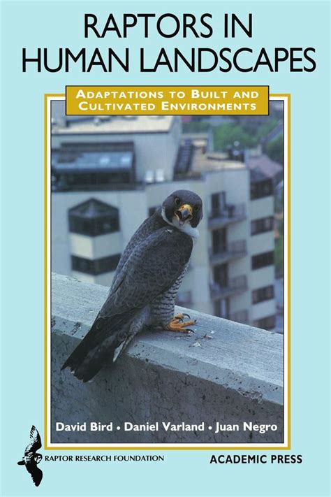 raptors in human landscapes adaptation to built and cultivated environments PDF