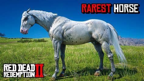 rarest horse in rdr2 jack