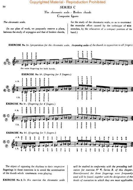 rational principles of piano technique Epub