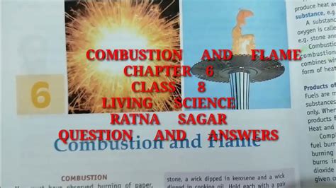 ratna sagar class 8 science answers Epub