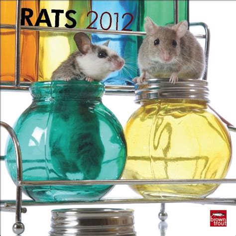 rats 2013 square 12x12 wall calendar multilingual edition Doc