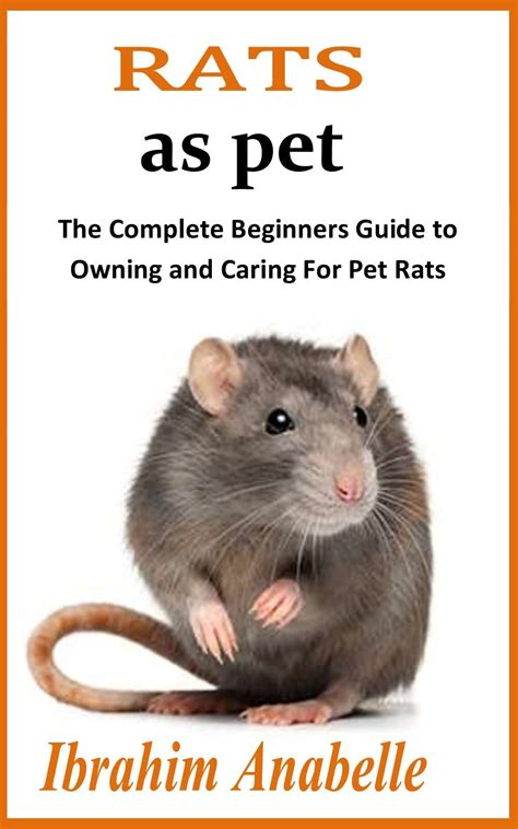 rats a beginners guide PDF