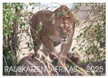 raubkatzen afrikas sterreichat version wandkalender 2016 Doc