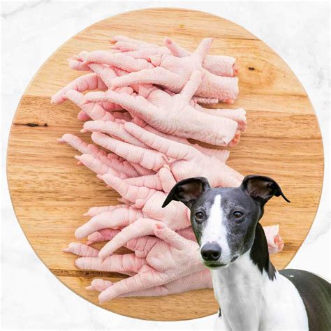 raw chicken feet for dogs