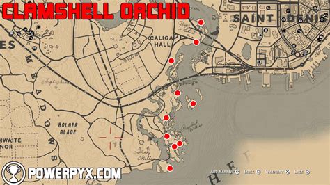 rdr2 clamshell orchid locations