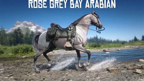 rdr2 fastest horse