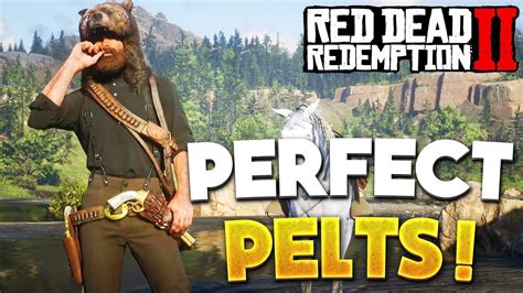 rdr2 perfect pelts