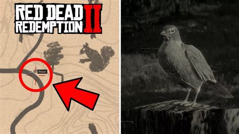 rdr2 robin location