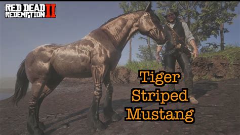 rdr2 striped ground glitch