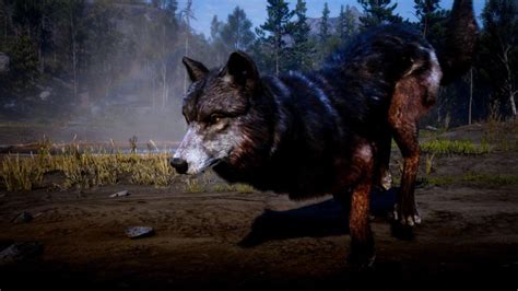 rdr2 wolf