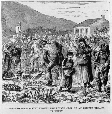 reactions of ordinary english people to irish famine