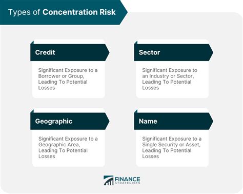 read 2011 cu a concentration risk offerings sample policy PDF