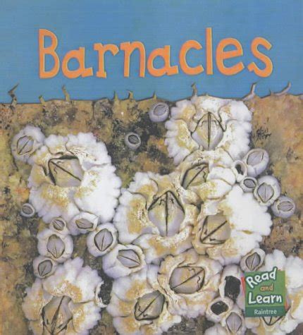 read and learn sea life barnacles read and learn read and learn Reader