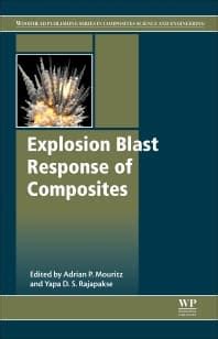 read download explosion blast response Kindle Editon