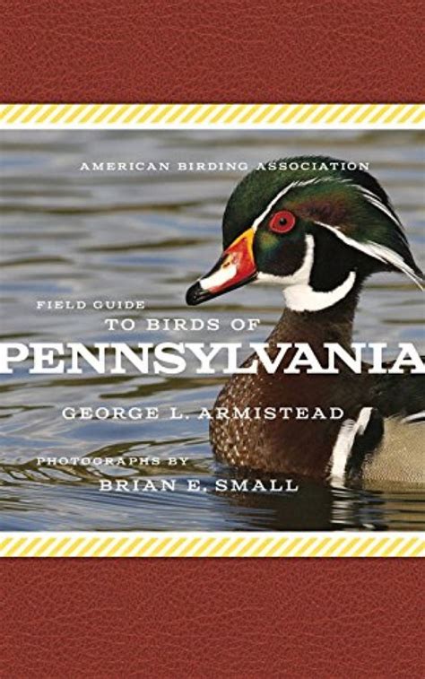 read online american birding association field pennsylvania Kindle Editon